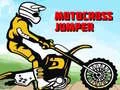 Spel Motocrosshopparen på nätet