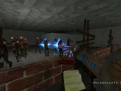 Spel Call of Duty: Zombies på nätet