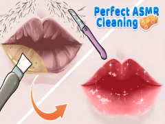 Spel Perfekt ASMR -rengöring på nätet