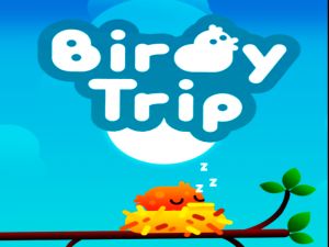 Spel Birdtur på nätet