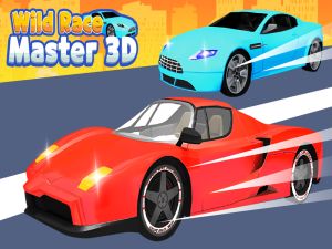 Spel Wild Race Master 3D på nätet