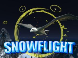 Spel Snöfluid på nätet