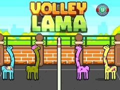 Spel Volley Lama på nätet
