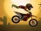 Spel Moto X3M på nätet