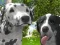 Spel Hund Simulator 3D på nätet