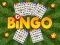 Spel Bingo på nätet