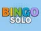 Spel Bingo Solo på nätet