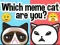 Spel Vilken meme-katt är du? på nätet