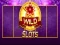 Spel Vild Slot pÄ nÀtet Spel Vild Slot pÄ nÀtet
