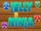 Spel Gelé Ninja på nätet