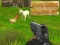 Spel Frenzy Kyckingskytt 3D på nätet