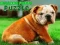 Spel Bulldogvalp Puzzle på nätet