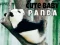 Spel Söt baby panda på nätet