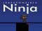Spel Oansvarig ninja på nätet