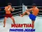 Spel Muay Thai Kämpare Pussel på nätet
