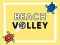 Spel Beachvolley pÄ nÀtet Spel Beachvolley pÄ nÀtet