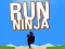 Spel Spring Ninja på nätet