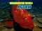Spel Pussel Underwater World på nätet