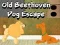 Spel Gammal Beethoven Hund Flykt på nätet