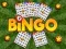 Spel Bingo Avslöjad på nätet