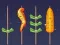 Spel Grillmatch på nätet