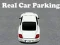 Spel Ett Äkta Bilparkering på nätet