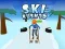 Spel Ski Rush 3D på nätet