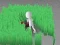 Spel Gräsklippning 3D på nätet