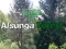 Spel Återvända till Alsunga-skogen på nätet