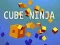 Spel Kub Ninja på nätet