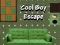 Spel Cool Pojkens Flykt på nätet