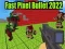 Spel Snabb Pixel Kula 2022 på nätet