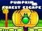 Spel Pumpa Skog Rymning på nätet