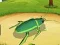 Spel Insekternas Världskrig Online på nätet