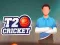 Spel T20 Cricket på nätet