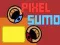 Spel Pixel Sumo på nätet