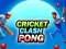 Spel Cricket Clash Pong på nätet