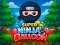 Spel Super Ninja Balloon på nätet