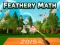 Spel Fjäderlik matematik på nätet