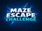 Spel Maze Escape Challenge på nätet