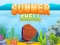 Spel Sommarskal pÄ nÀtet Spel Sommarskal pÄ nÀtet