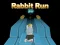 Spel Rabbit Run 3D på nätet