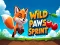 Spel Wild Paws Sprint på nätet
