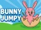 Spel Bunny Jumpy på nätet