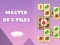 Spel Master of 3 Tiles på nätet