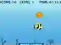 Spel Fisköverlevnad på nätet