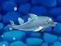 Spel Min delfinshow 5 på nätet