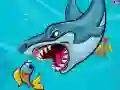 Spel Tjock haj på nätet