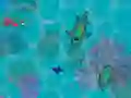Spel Sharkz.io på nätet