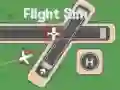 Spel Flygsimulator på nätet